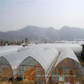 Factory supply crazy selling tunnel greenhouses and prices film